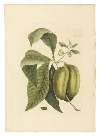 CATESBY, MARK. Seven hand-colored engraved plates,